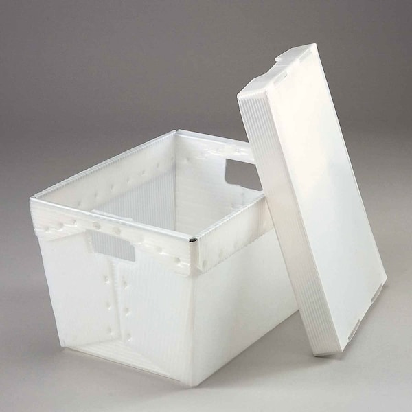Global Industrial Corrugated Postal Storage Tote W/ Lid, 18-1/2 in L x 13-1/4 in W x 12 in H, White, Plastic 257816 - main